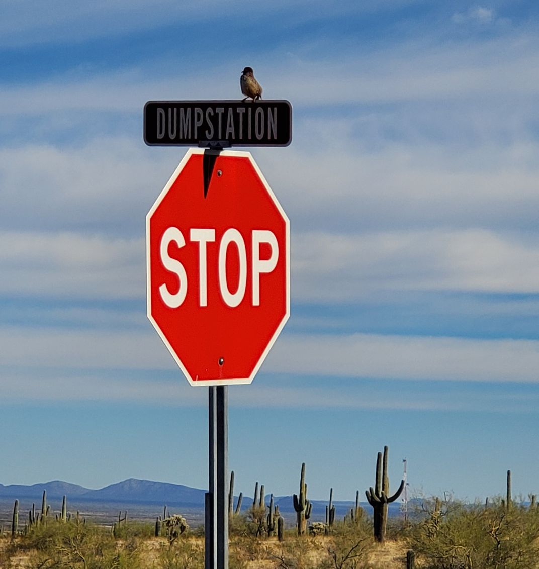 Bird STOPS at Dump Station | Smithsonian Photo Contest | Smithsonian ...