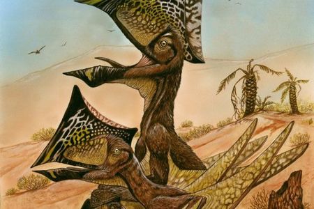 An artist's rendering of Caiuajara dobruskii surrounded by its young in the ancient Brazilian desert.