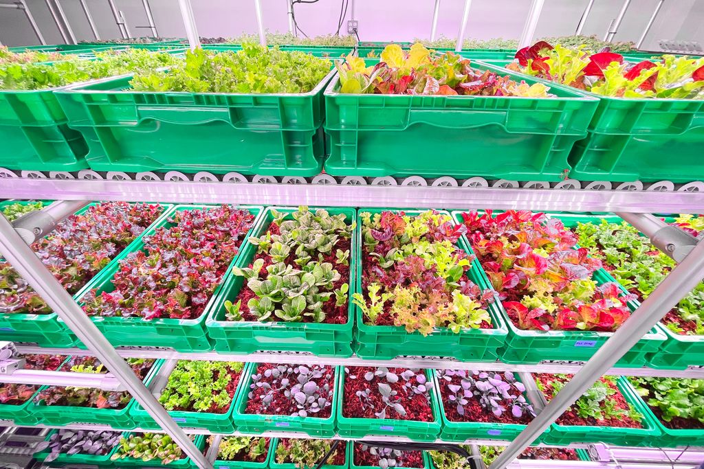 Vertical farming