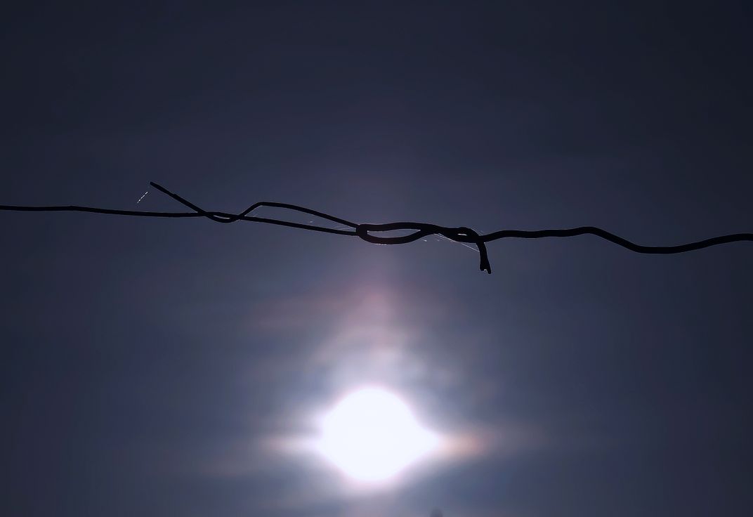 String on setting sun. | Smithsonian Photo Contest | Smithsonian Magazine