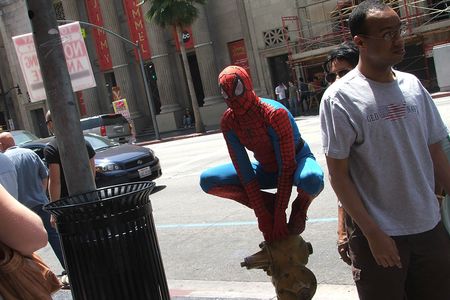 An urban spider hangs out in downtown Los Angeles. 
