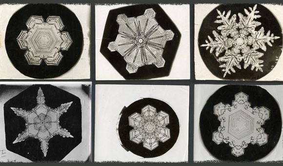 The original photos from late 1800s by famous snowflake photographer Wilson “Snowflake” Bentley, are stored in the Smithsonian Archives. His pictures were instrumental in helping scientists examine snow’s crystalline properties. (Erin Malsbury, Smithsonian Open Access, Wilson A. Bentley)