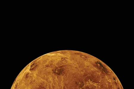 The partial disk of the northern hemisphere of Venus, as revealed by radar data from the Magellan orbiter. 
In the 1990s, Magellan saw patches of rugged terrain called tessera. A future lander could analyze its composition and possibly explain its formation.