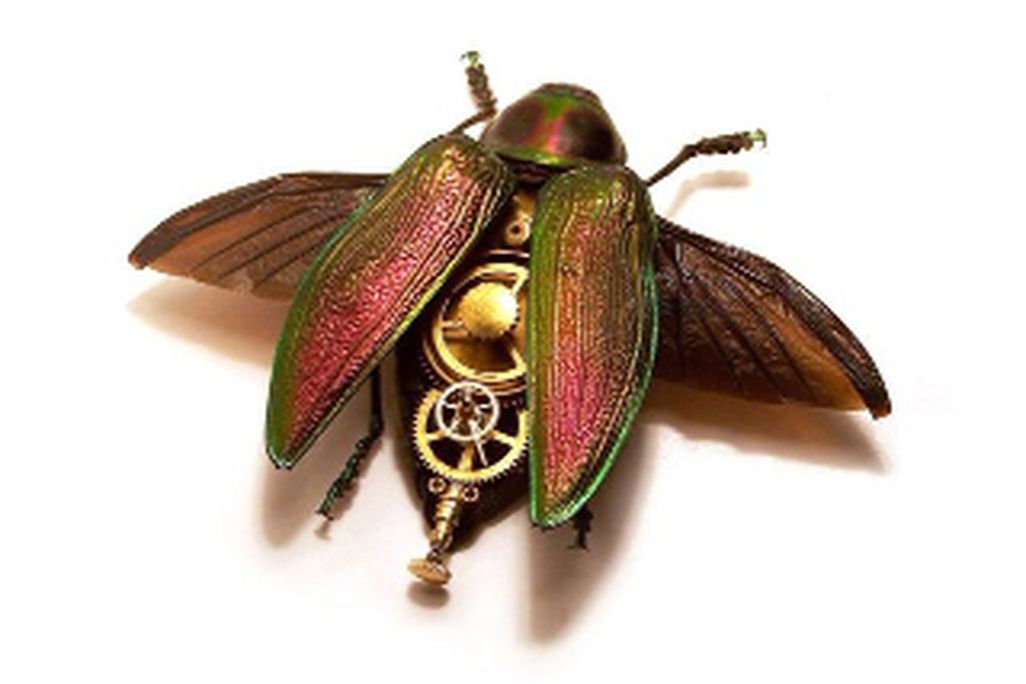 buprestidae-euchroma-gigantae-by-mike-libby.jpg