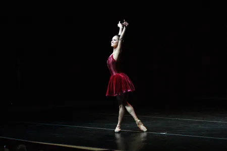 In 2015, Misty Copeland became the first African-American woman to be promoted to principal dancer at the American Ballet Theatre.
