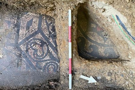 Archaeologists are uncovering a Roman mosaic located in front of a vape shop at a shopping mall in southeast England.