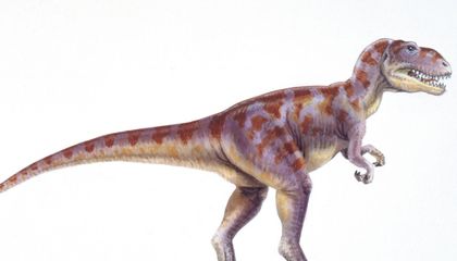 Paleontologists Are Still Unraveling the Mystery of the First Dinosaur