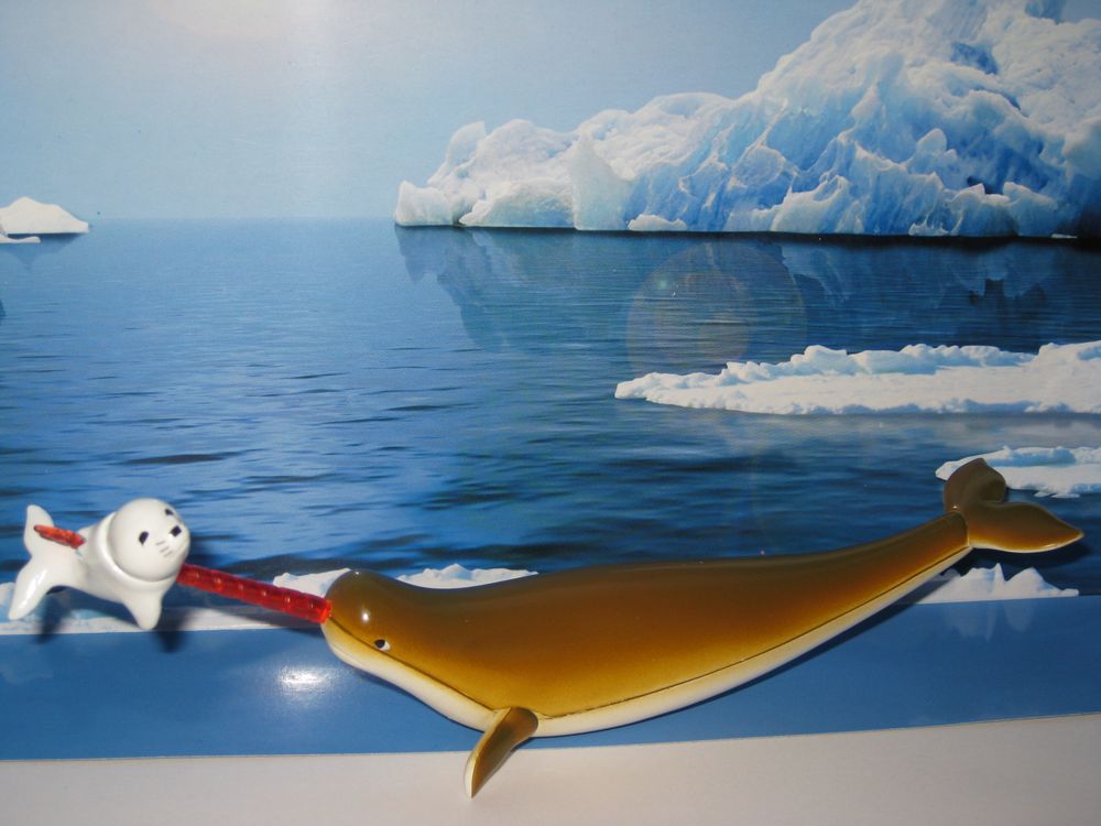 20110520104101avengingnarwhal.jpg