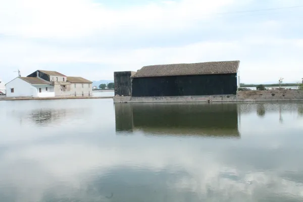 Reflections in the Marshland, La Albufera thumbnail