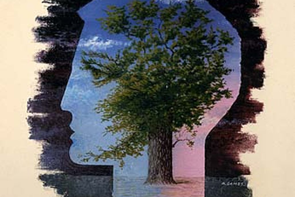 198412497_1b.jpg