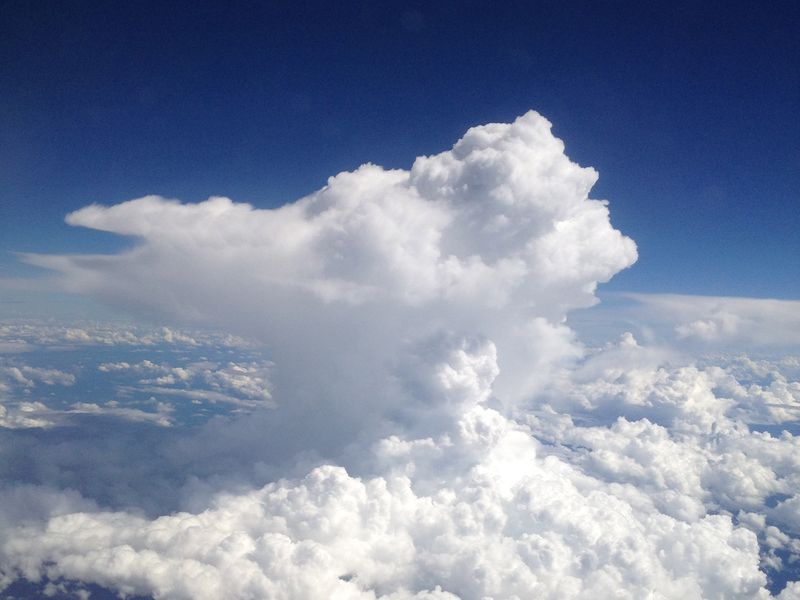 Stud cloud clearance