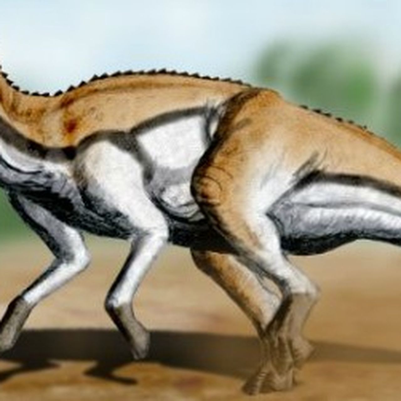 Hadrosaurus Dinosaur Tog