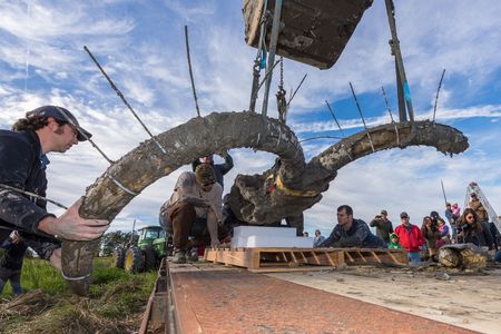 The team had a single day to uncover the massive mammoth's skeleton.