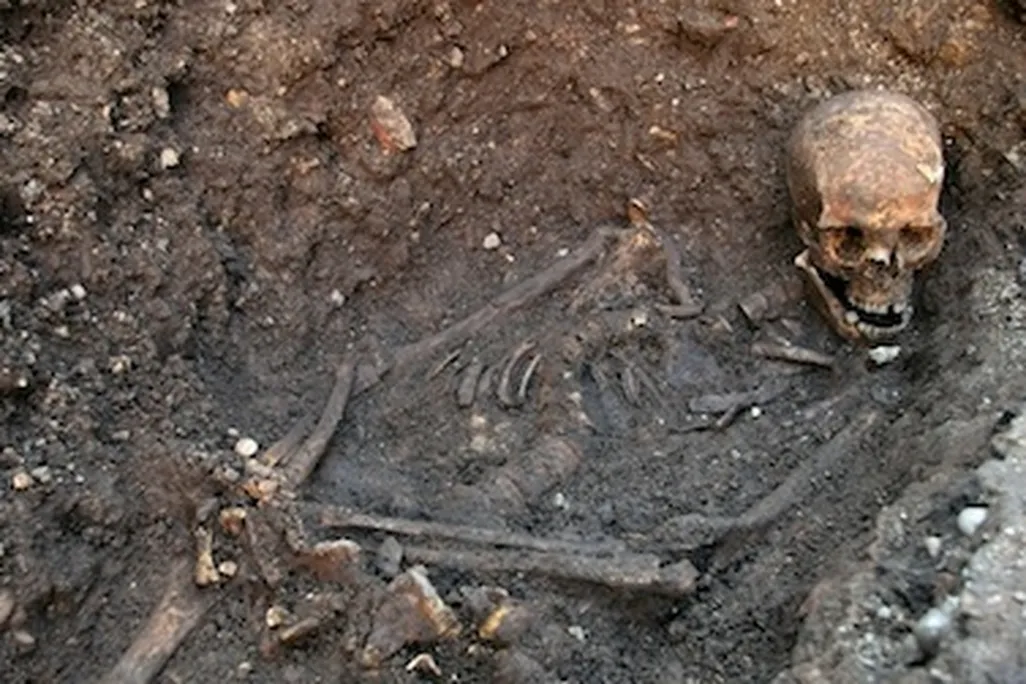 New archaeological analysis