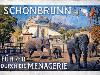 A poster for Schönbrunn Zoo. 