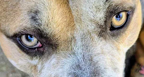 That's Art thumbnail