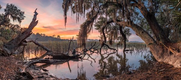 Sunset at Skidaway Island State Park, GA thumbnail