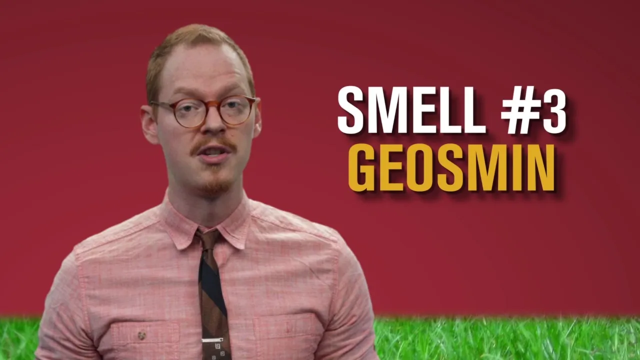 Preview thumbnail for Ask Smithsonian: Why Does Rain Have a Distinctive Smell?