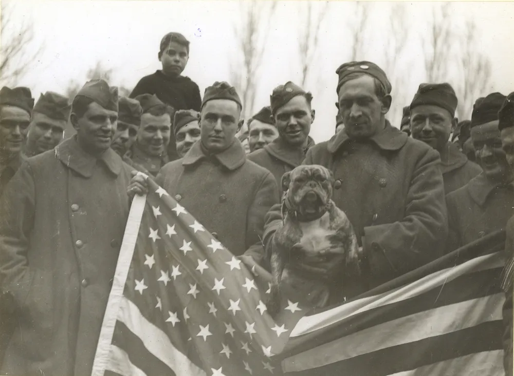 The Animals That Helped Win World War I | History| Smithsonian Magazine