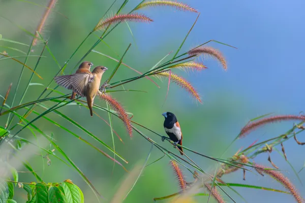 An accidental shot. thumbnail