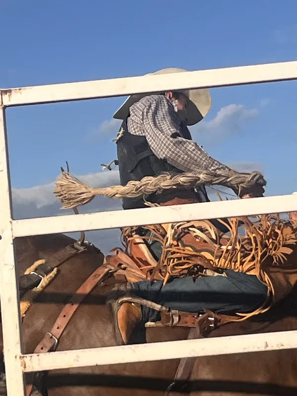 Cowboy Ride thumbnail