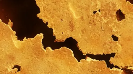 terra cibus no. 4: fortune cookie