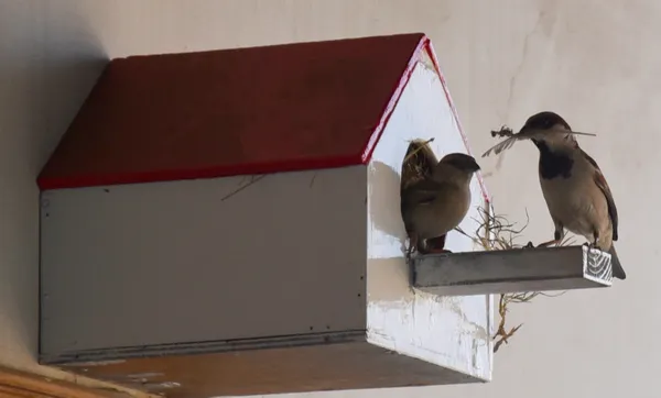 Home Sweet Home thumbnail