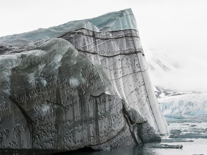 Smooth Surface Smithsonian Photo Contest Smithsonian Magazine