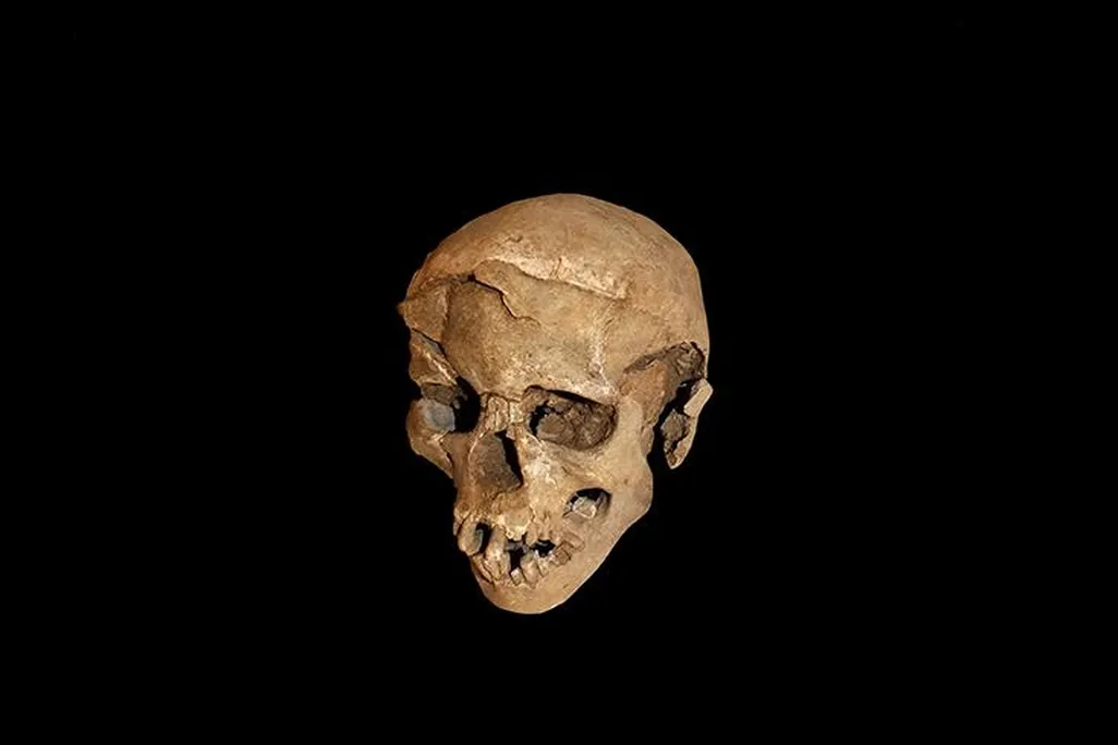 war-skull.jpg