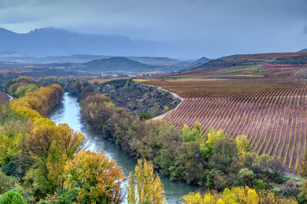 The Ebro River passes through the vineyard landscapes of Rioja