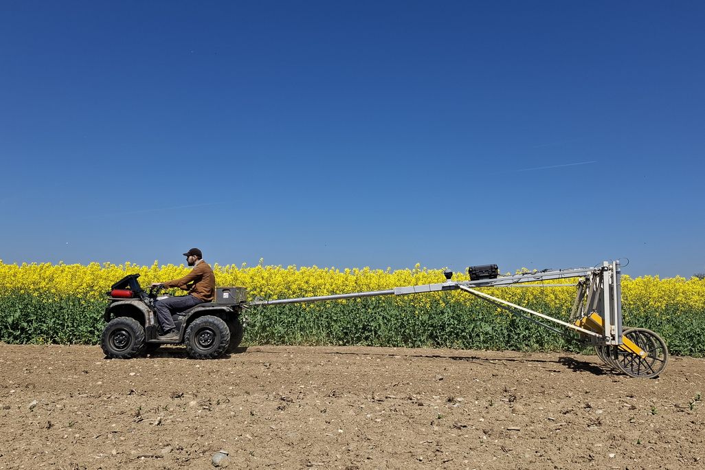 A researcher riding a vehicle pulling a device behind it in front of a field of sunflowers