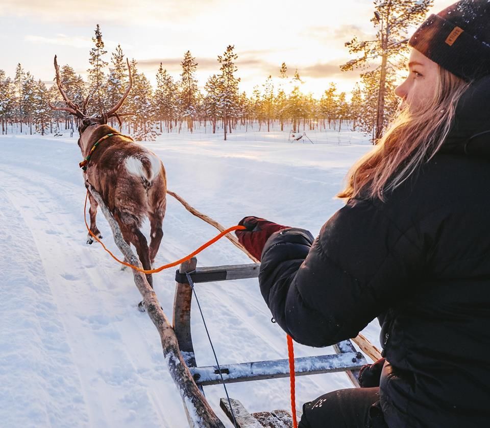 Reindeer Lodge