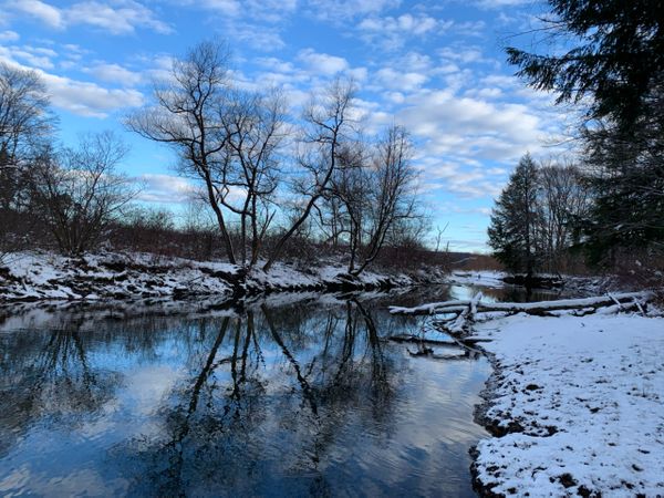 Winter Blues at Yellow Creek State Park thumbnail