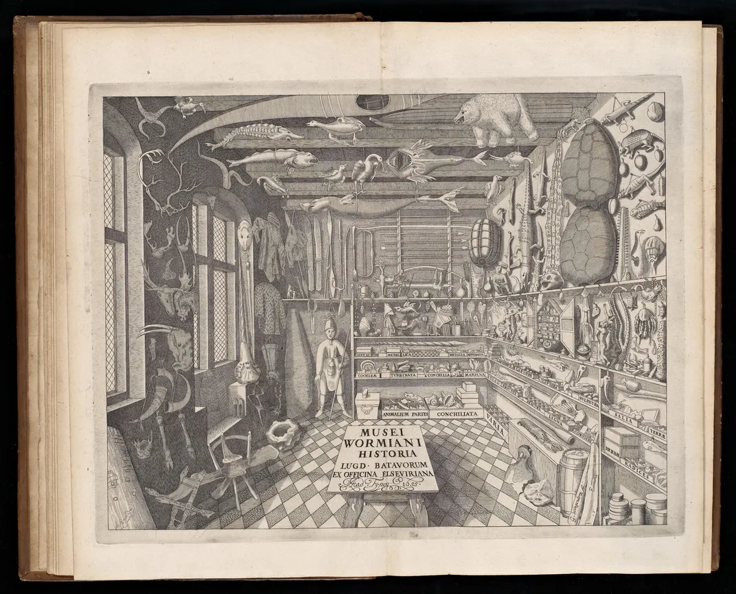 A 1655 engraving of a cabinet of curiosities