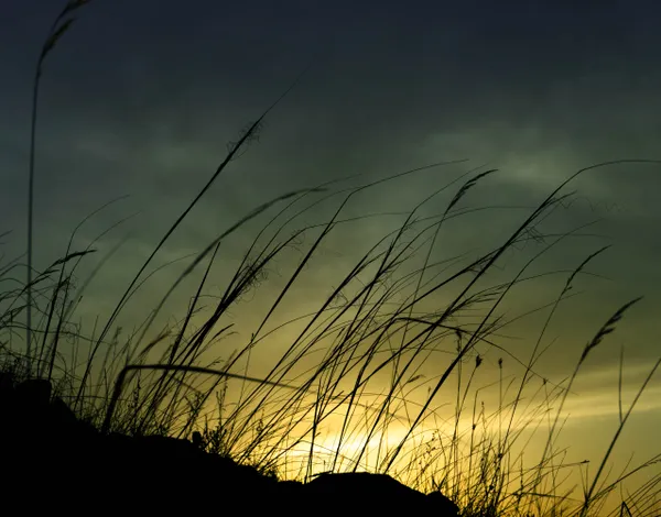 evening breeze thumbnail