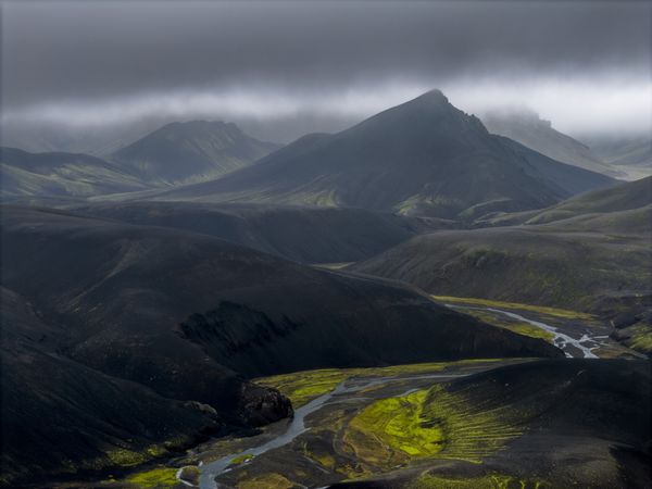 Art of nature thumbnail