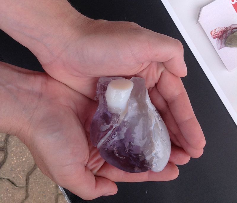 heart-in-hand.jpg