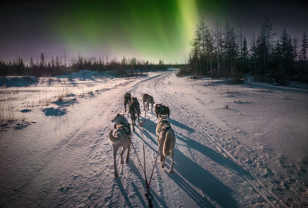 Sled dog team and Aurora Borealis near Churchill