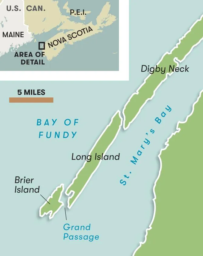 Map of Bay Fundy 