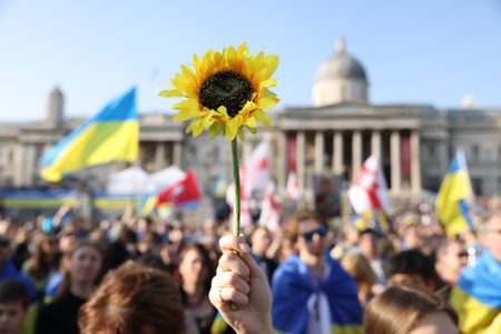 A protester holds a sunflower during a London rally in support of Ukraine on March 26, 2022.