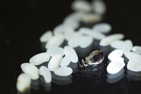 A new way to wirelessly charge devices inside the body could allow for medical implants as small as a grain of rice. 