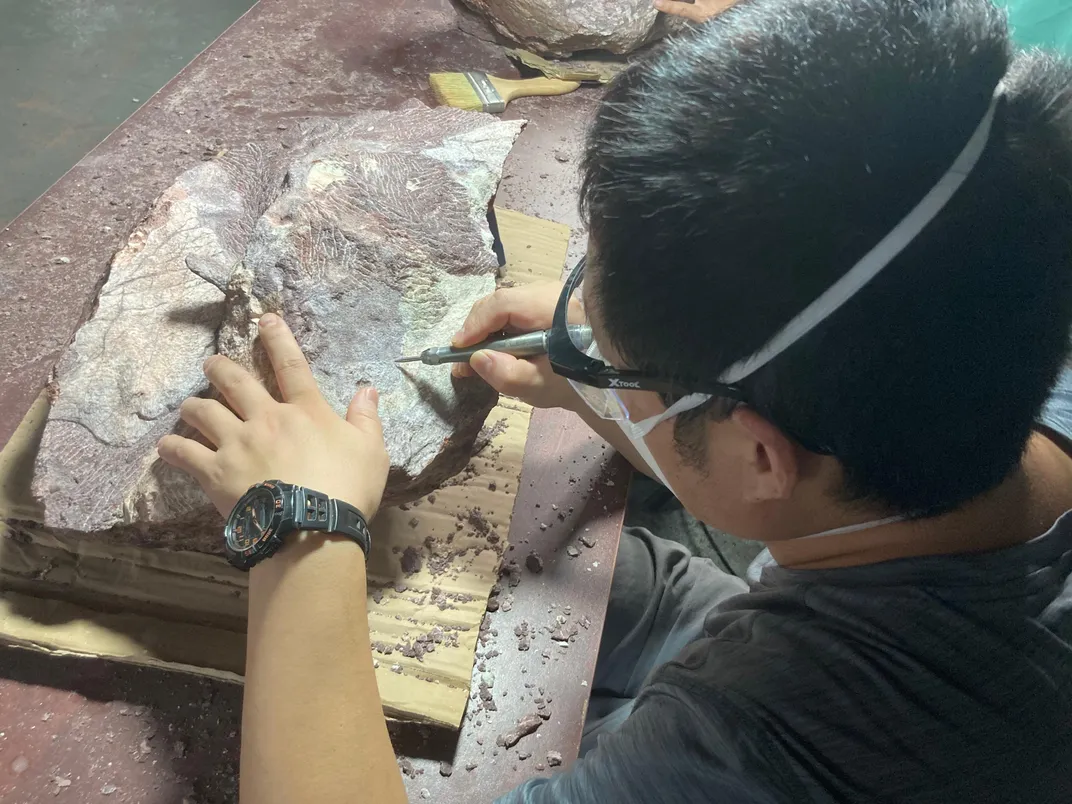 a paleontologist working on a fossil.