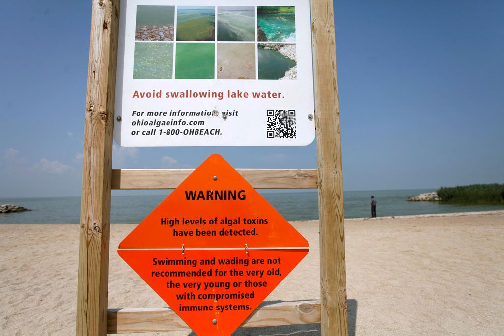 toxic algae bloom