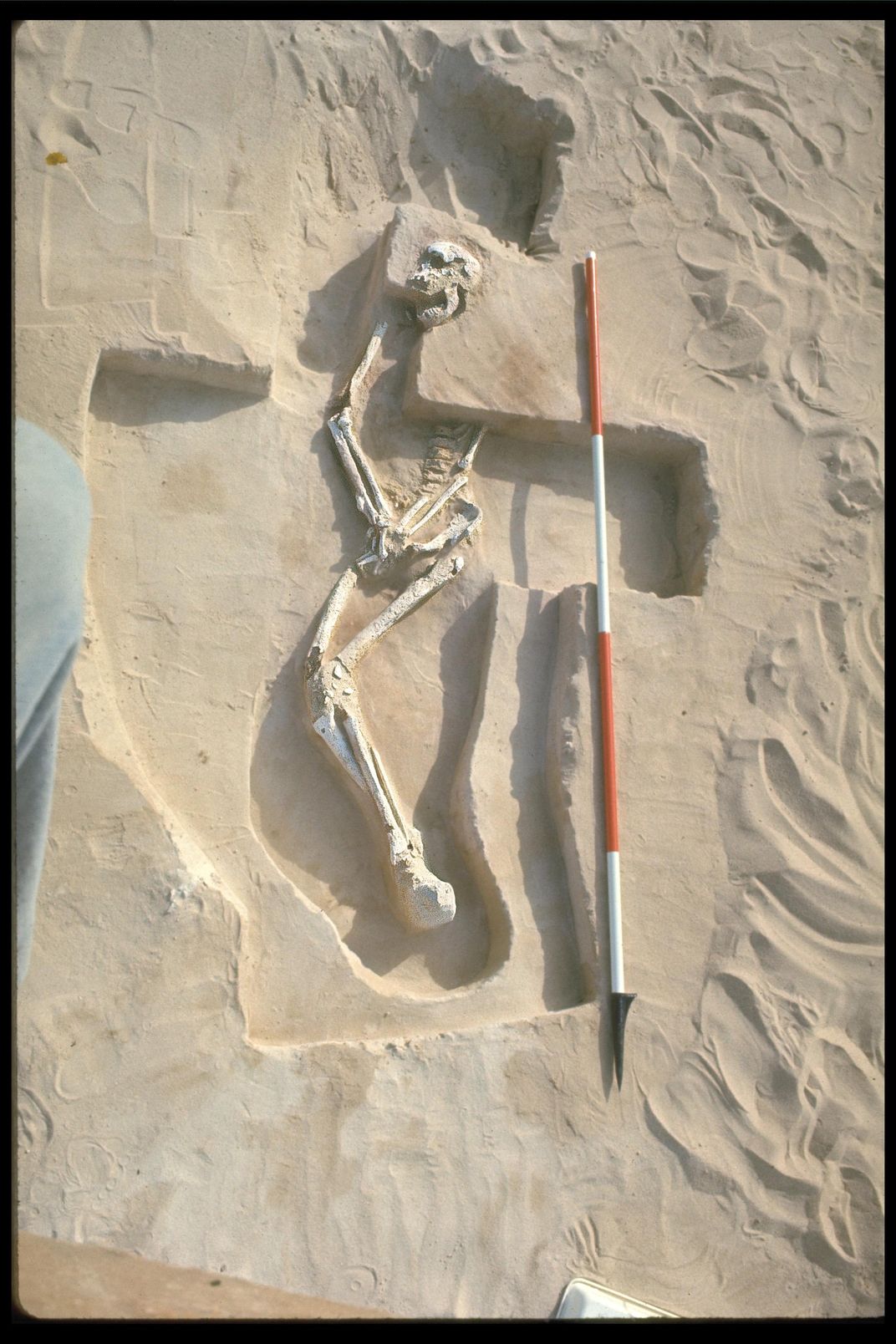 Mungo Man skeleton