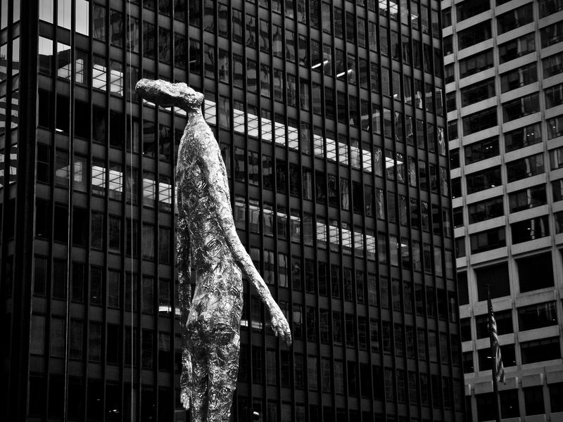 Enlighted one among tallest walls Smithsonian Photo Contest