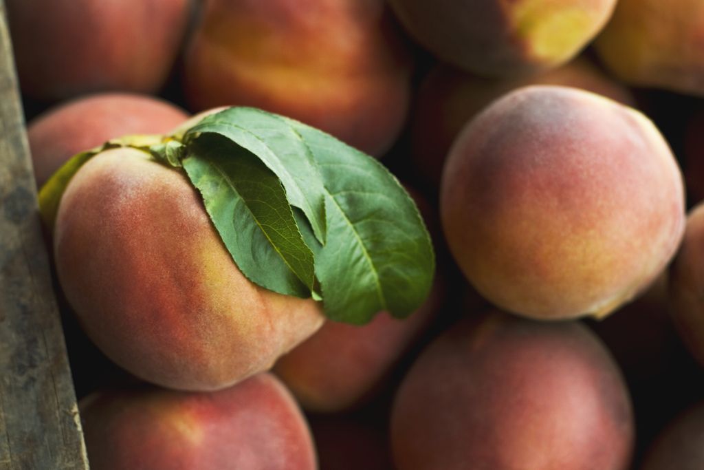 peaches