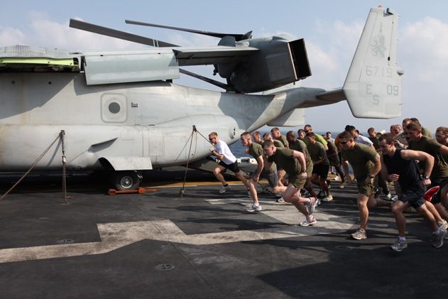Trot on Deck 631.jpg