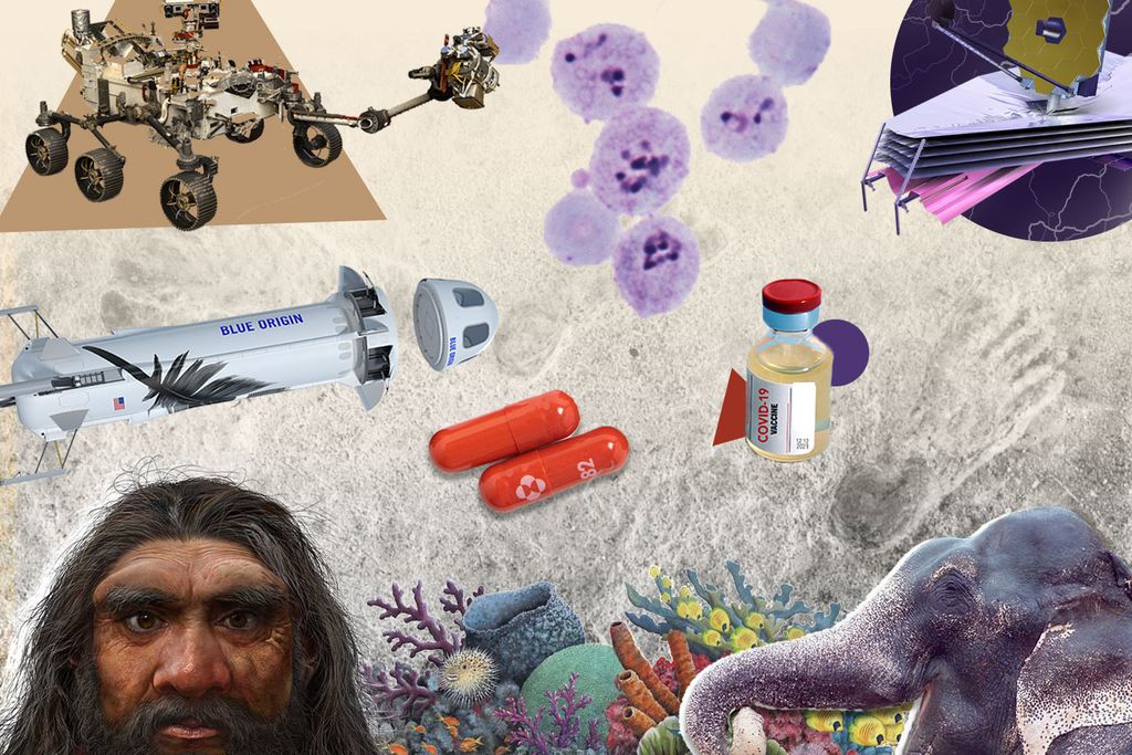 Top ten science stories illustration