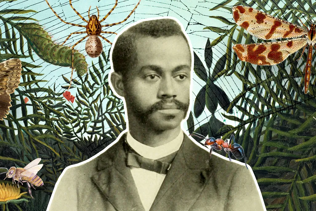 Charles Henry Turner