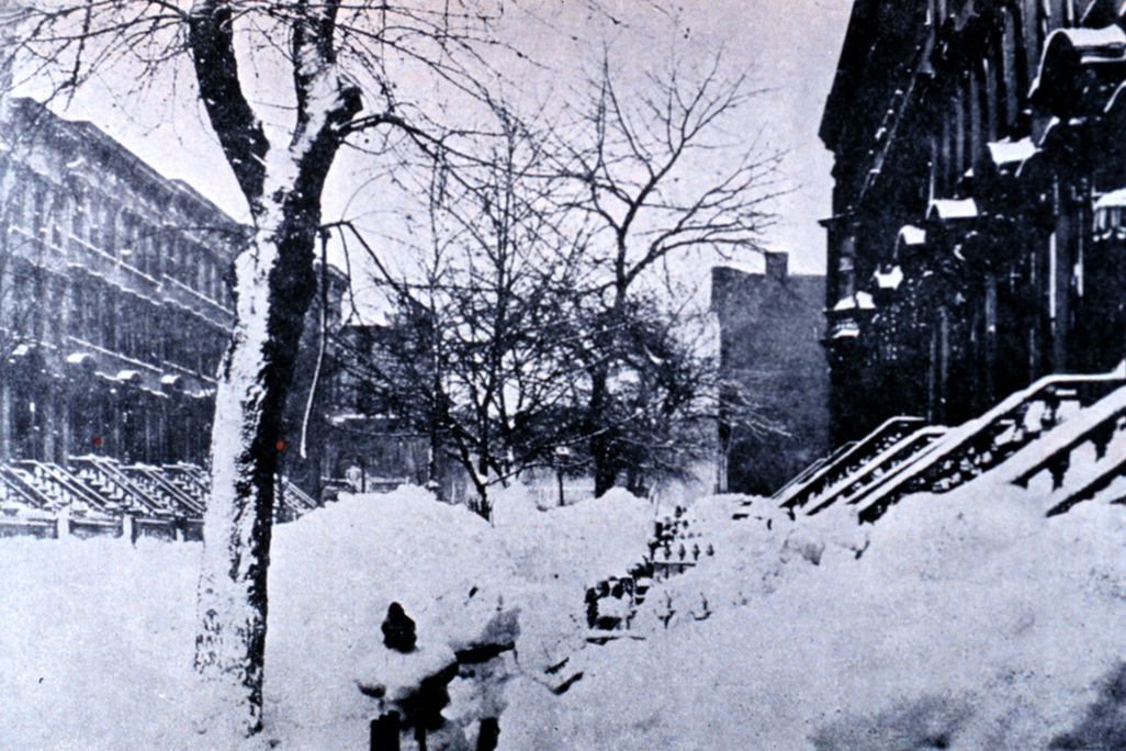 Brooklyn 1888